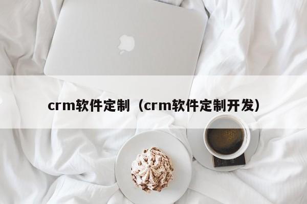 crm软件定制（crm软件定制开发）